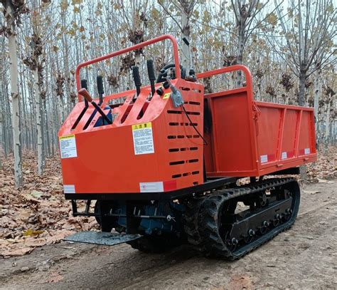 loading dump trucks with mini